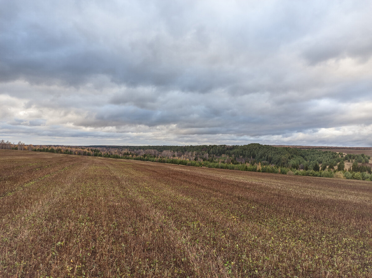 Вид на деревню с поля