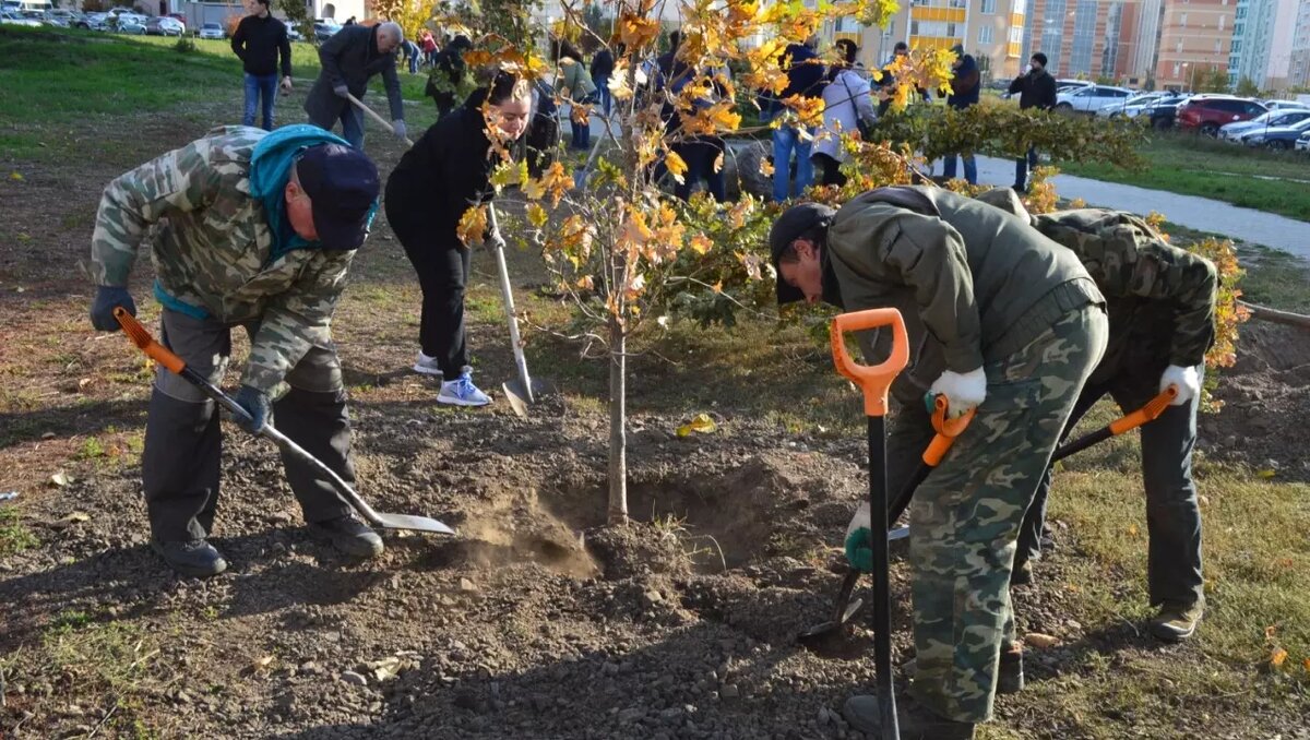     В Ростове-на-Дону пройдет День древонасаждения, в рамках которого высадят большое количество растений, сообщил в Telegram глава городской администрации Алексей Логвиненко.