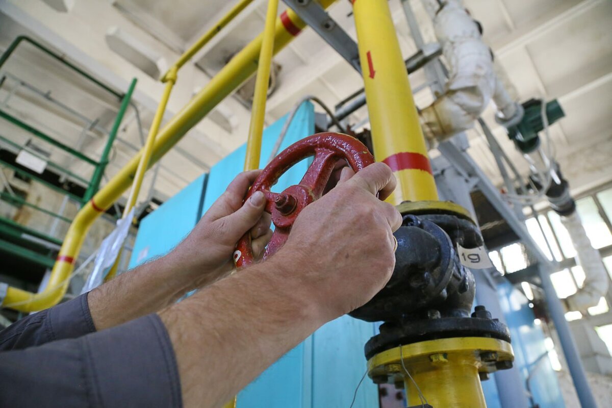 Фото: Наталья Сомова