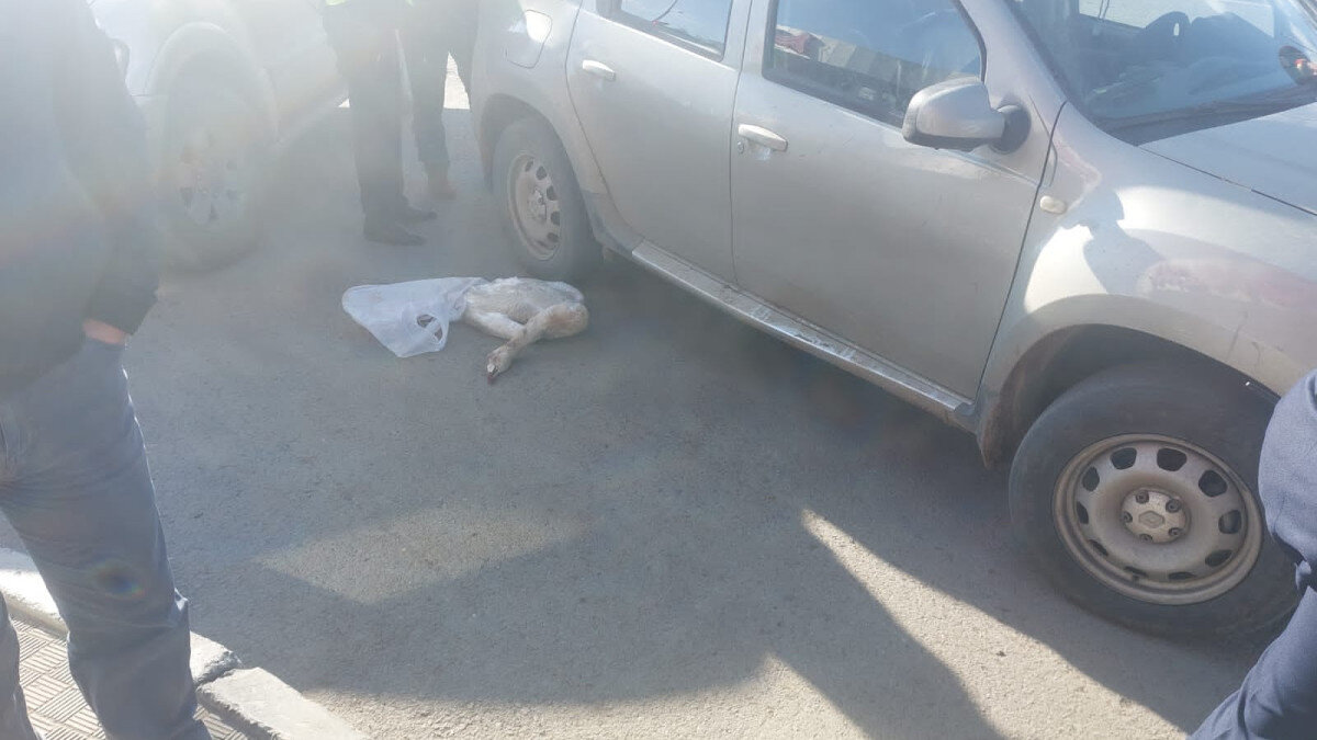    Фото: Polisia.kz Август Макаров