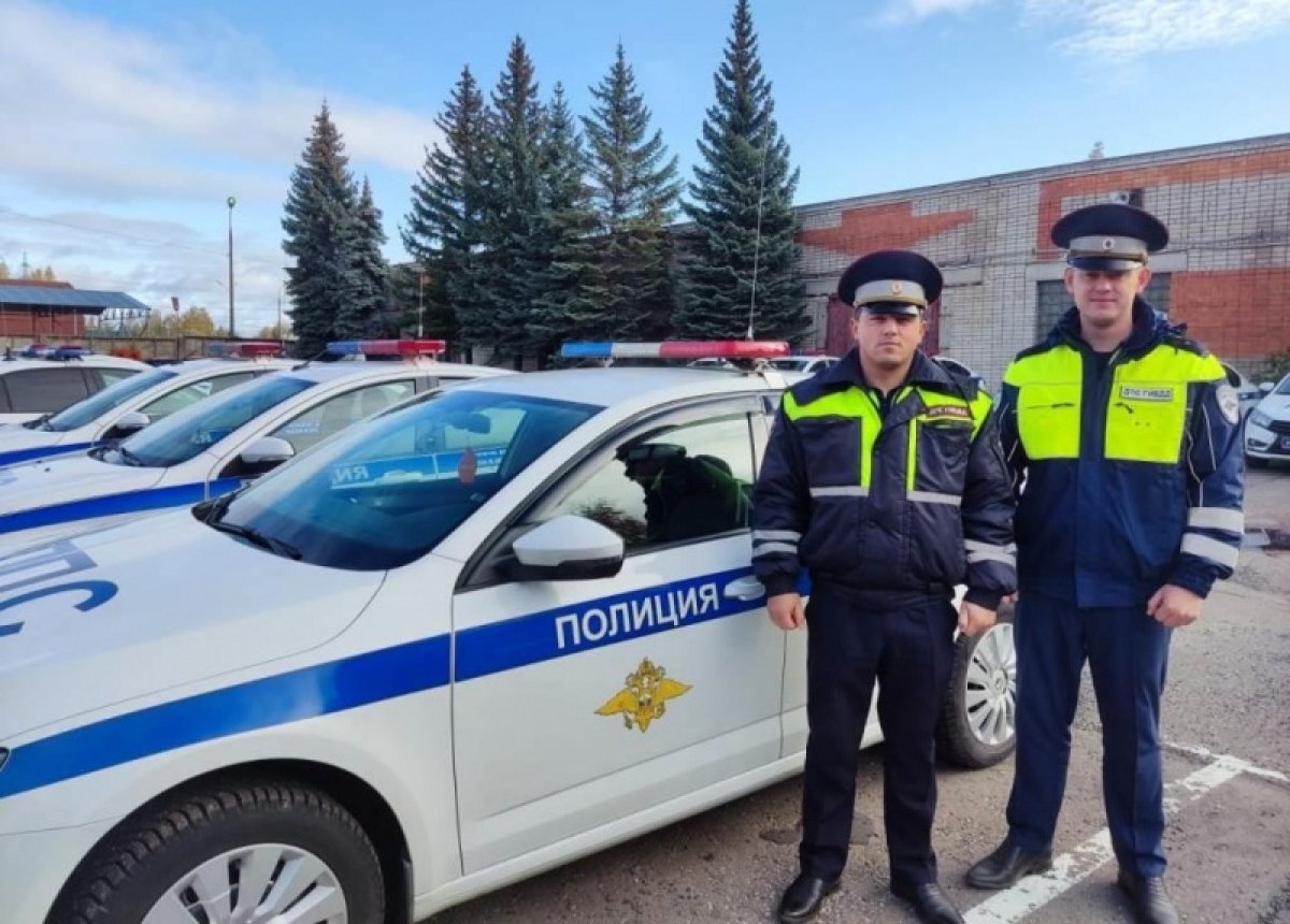    Псковская полиция приняла участие в спасении собаки