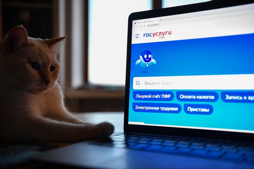 Александр Кряжев / РИА Новости