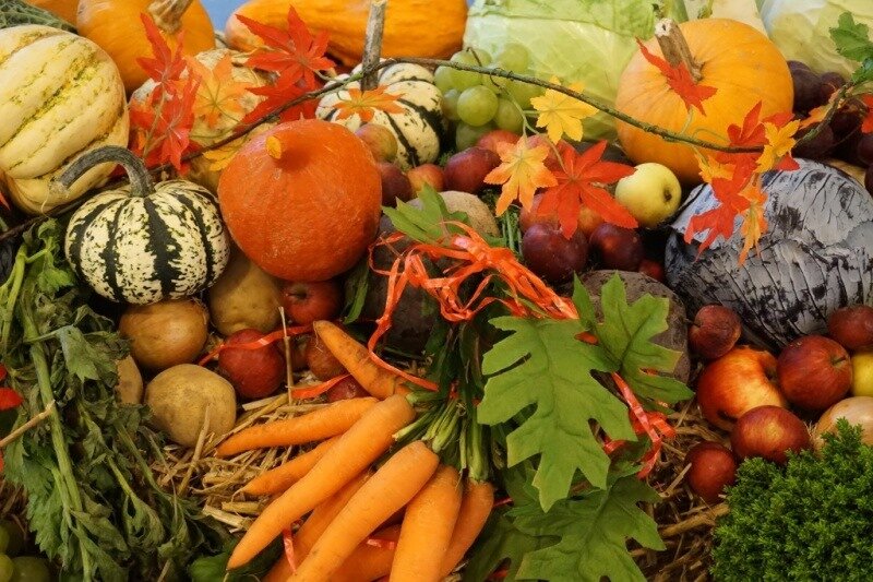  Осень - это время уборки урожая и сбора плодов своего труда. Мы, садоводы и огородники, проводим много времени и сил, чтобы вырастить вкусные и полезные овощи из имеющихся семян.