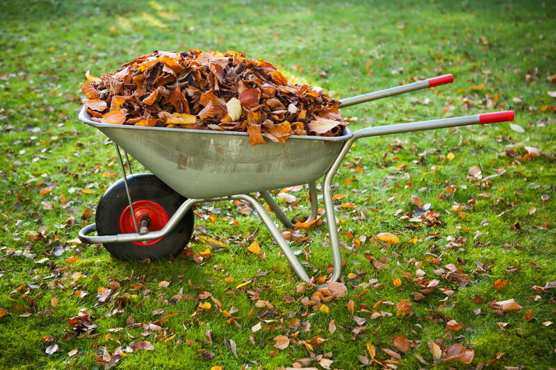 Уборка в саду