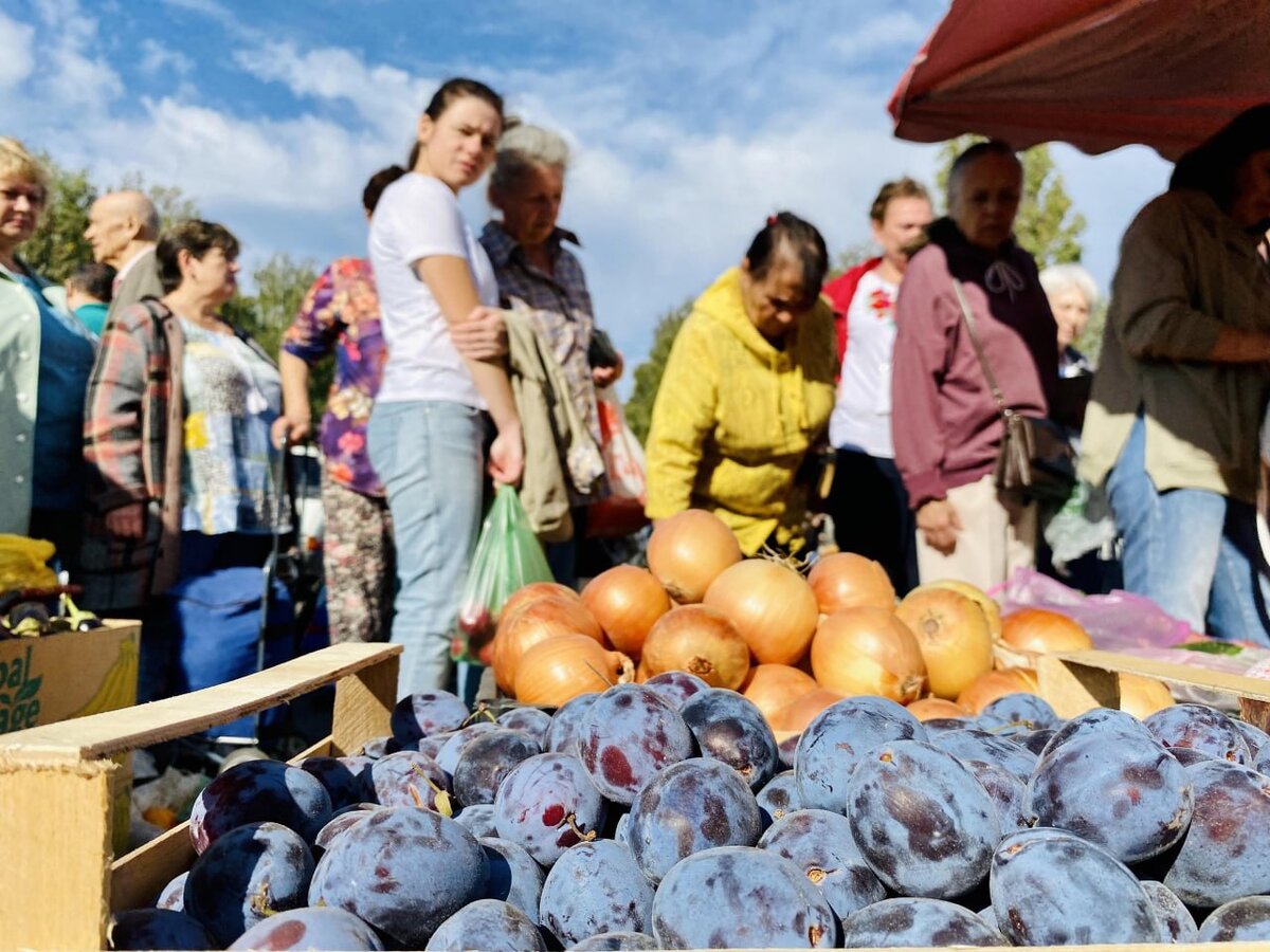    В Курске 21 октября пройдёт сельскохозяйственная ярмарка