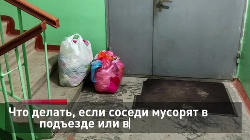 Что делать, если соседи мусорят в подъезде и во дворе?