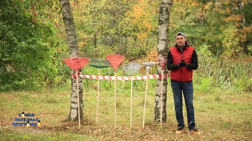 Веерные грабли: выбрал самую удобную модель (металлическая, подпружиненная). Такая не пропускает ни одного листика