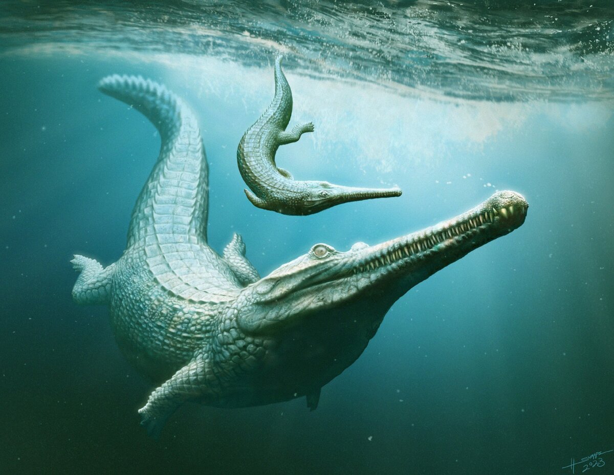 Самка Macrospondylus bollensis внимательно следит за своим потомством. Изображение предоставлено: Генри Сазерленд Шарп.