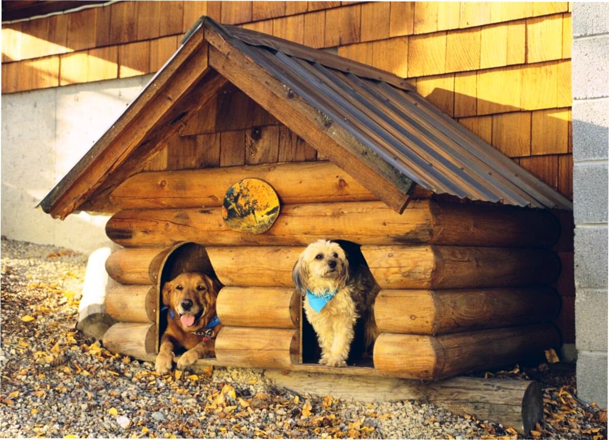 Коллекция Pet Lounge™ для собак - Medium (90 см) - купить в интернет-магазине по цене от 18 ₽
