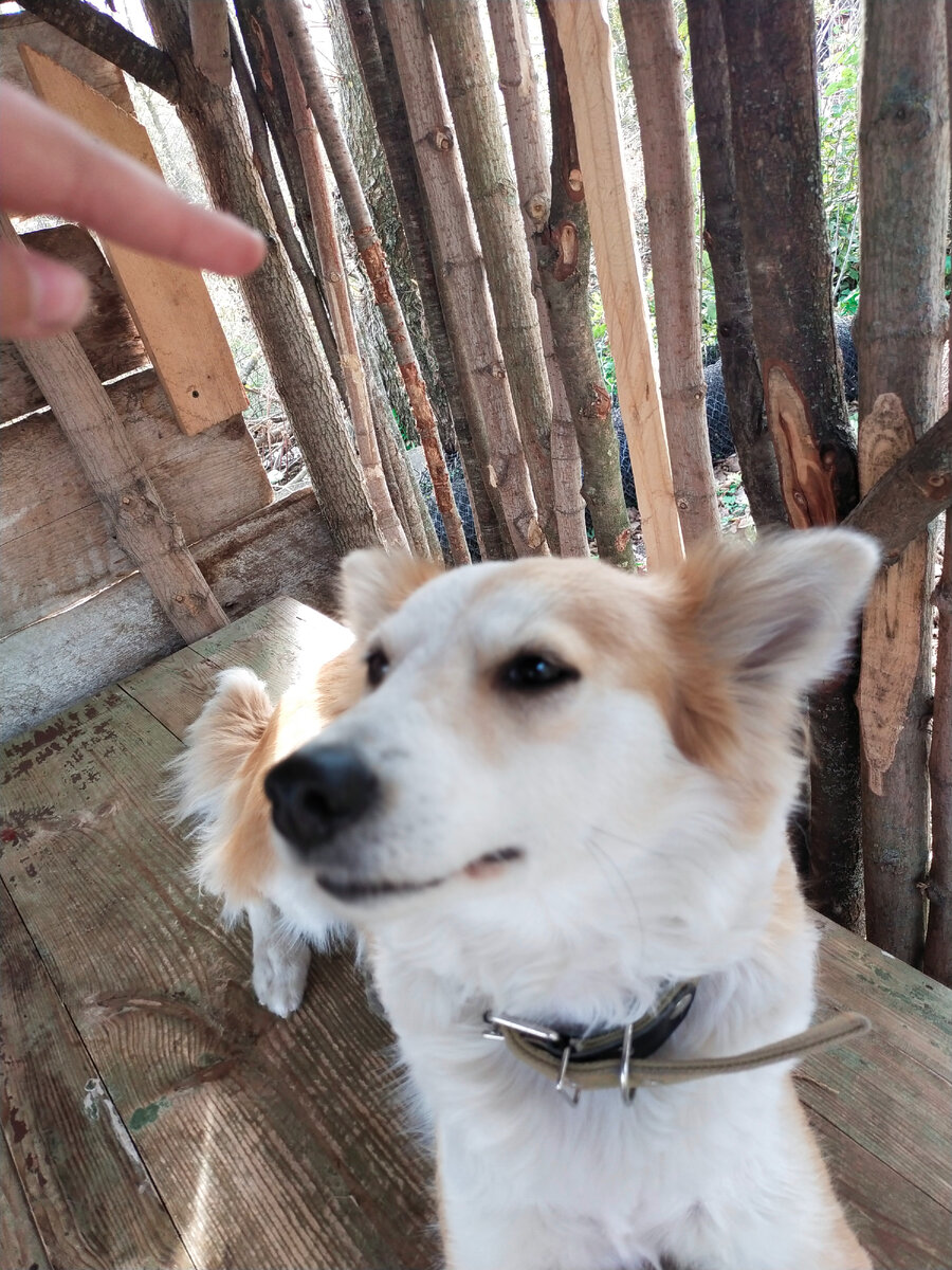 Занимаюсь со Сви 