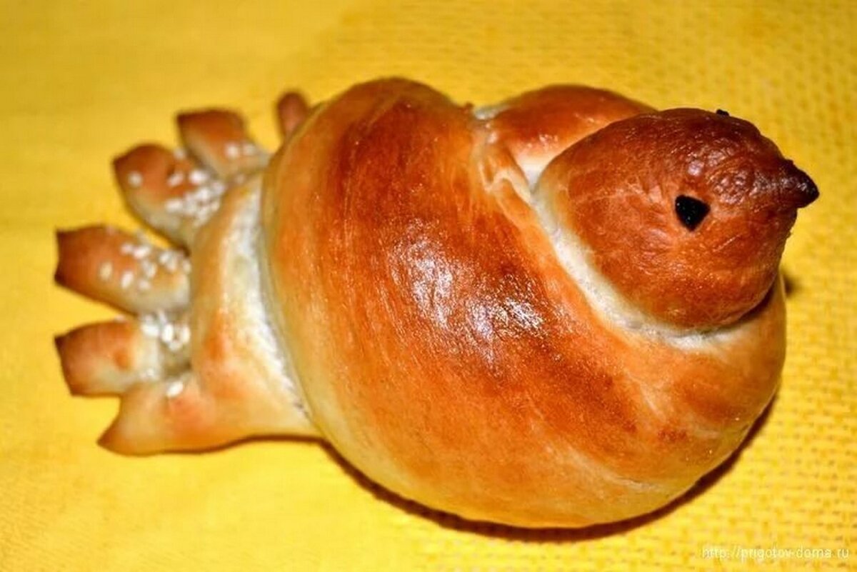 Фото взято с яндекс-картинки.