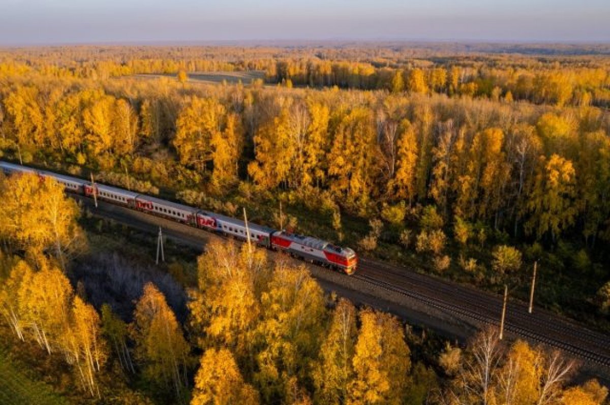    Дополнительные поезда на ноябрьские праздники назначены на СвЖД