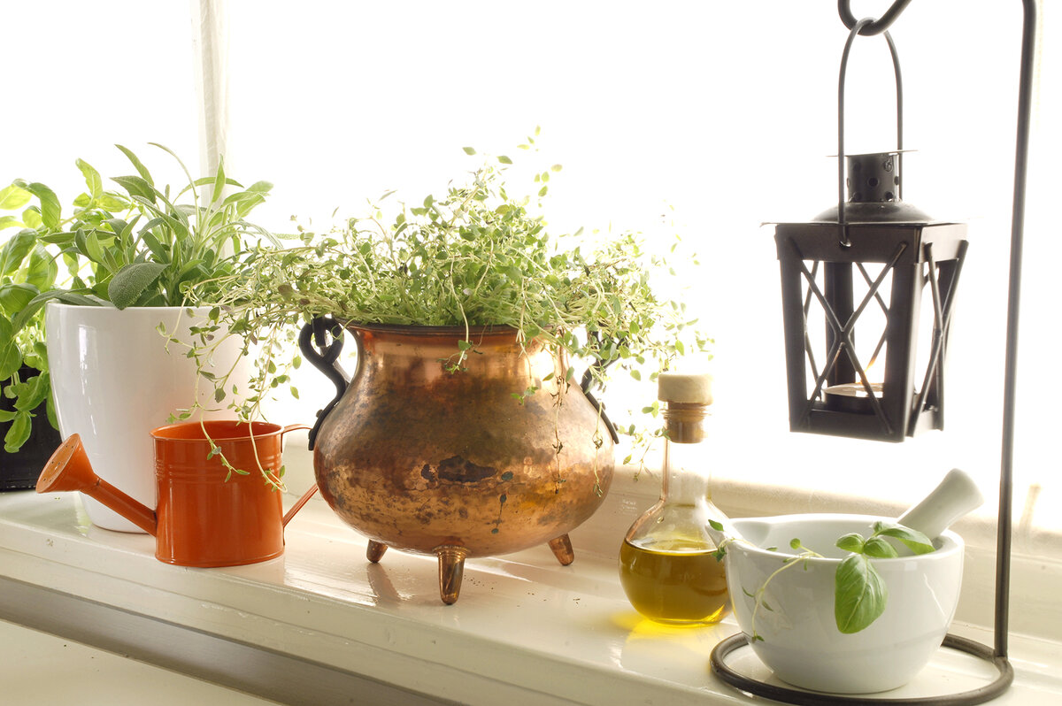 На подоконнике устройте домашний огородик пряных трав: это красиво, вкусно и полезно. 