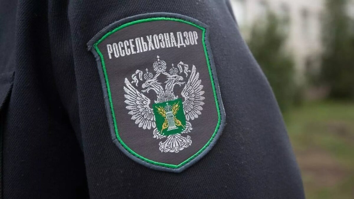    В Волгоградской области обнаружили мед с токсичными веществами, которые имеют воздействие на нервную систему.