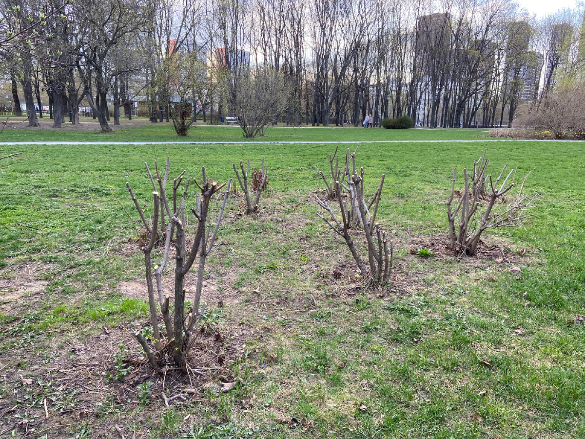 Весна 2023 года