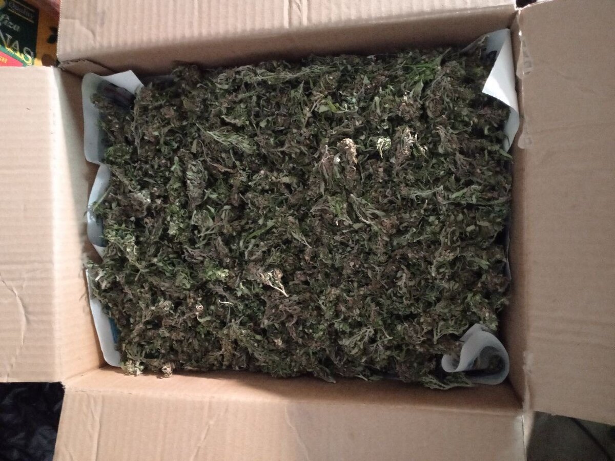 Незаконный оборот наркотиков пресечен в селе Малокаховка