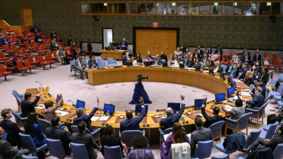    Посол Израиля в РФ: материалы об ударе по больнице в Газе направлены в СБ ООН Валентина Глуходедова