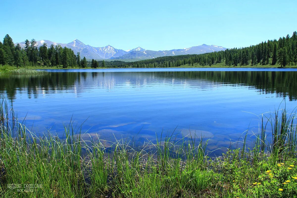 Озера алтайского края фото