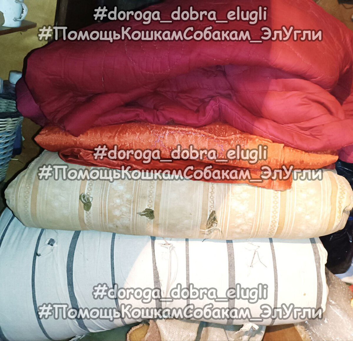 Алину благодарим за одеяла, матрасы и денежку наличными!