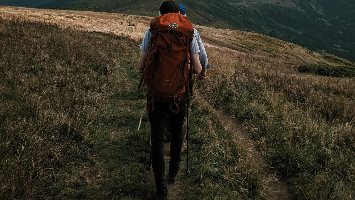    Фото: unsplash.com. Август Макаров