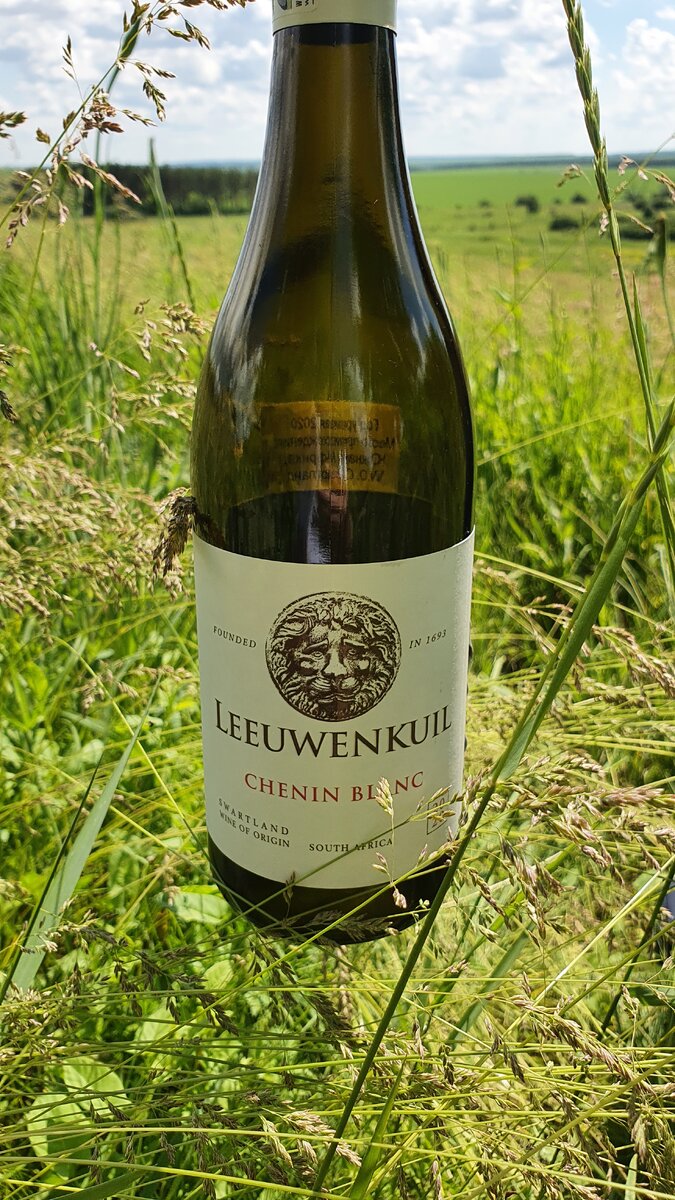 Африканское виноделие набирает обороты