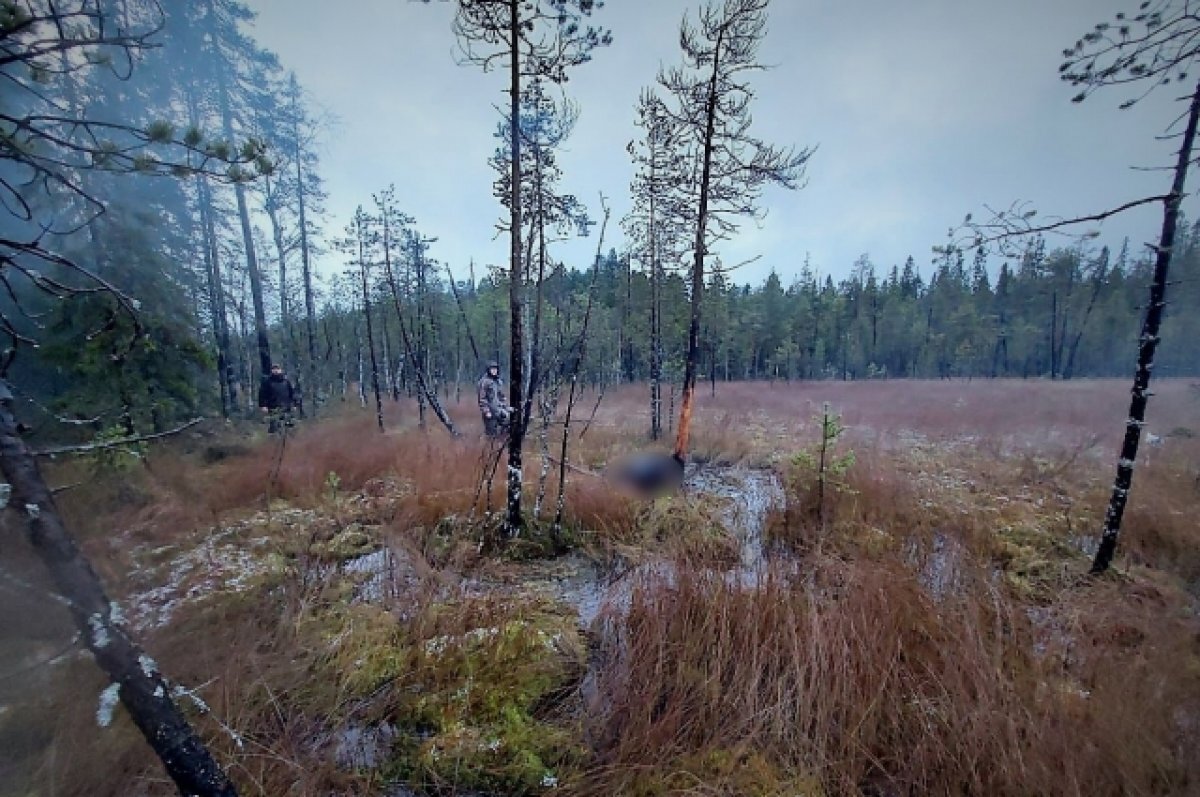    Тело мужчины обнаружили в болоте в окрестностях Костомукши.
