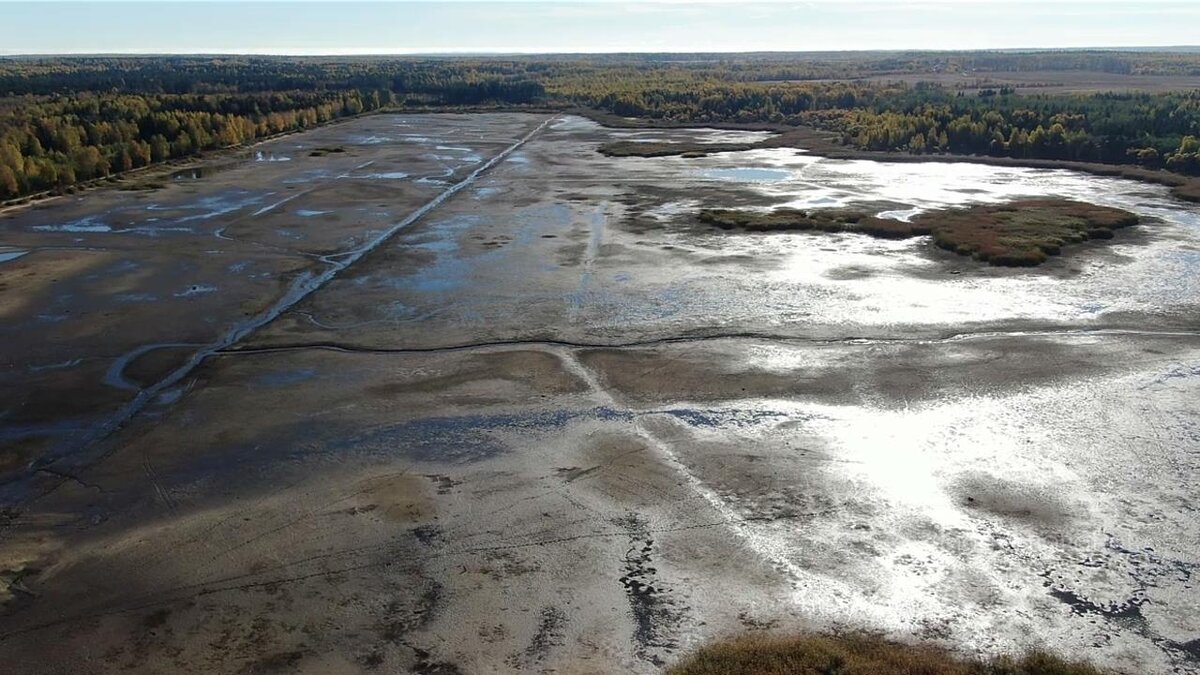 пруд сверху