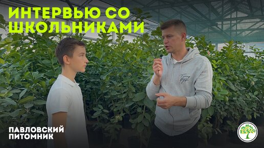 Интервью про Павловский лимон