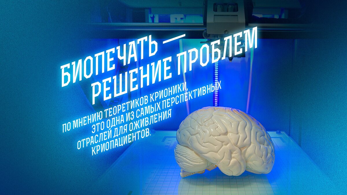 Теперь жизнь мечты можно напечатать! 6 невероятных вещей из 3D-принтера |  «Капитаны будущего» | энциклопедия завтраведения | Дзен