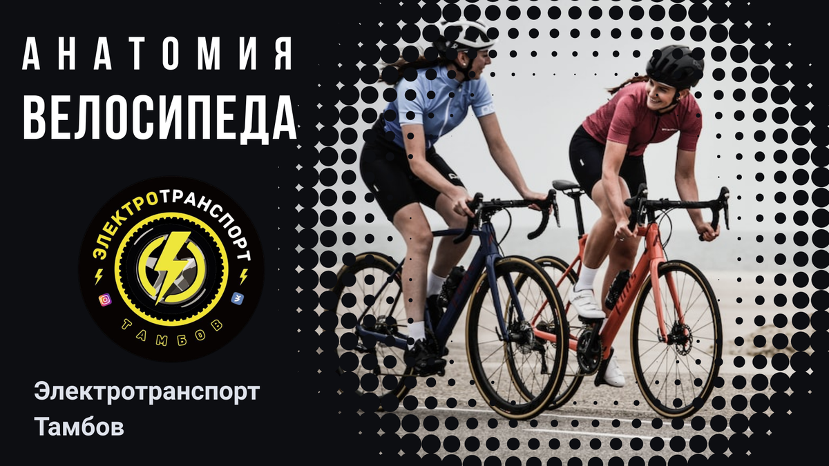 Анатомия велосипедов: velox — pedes