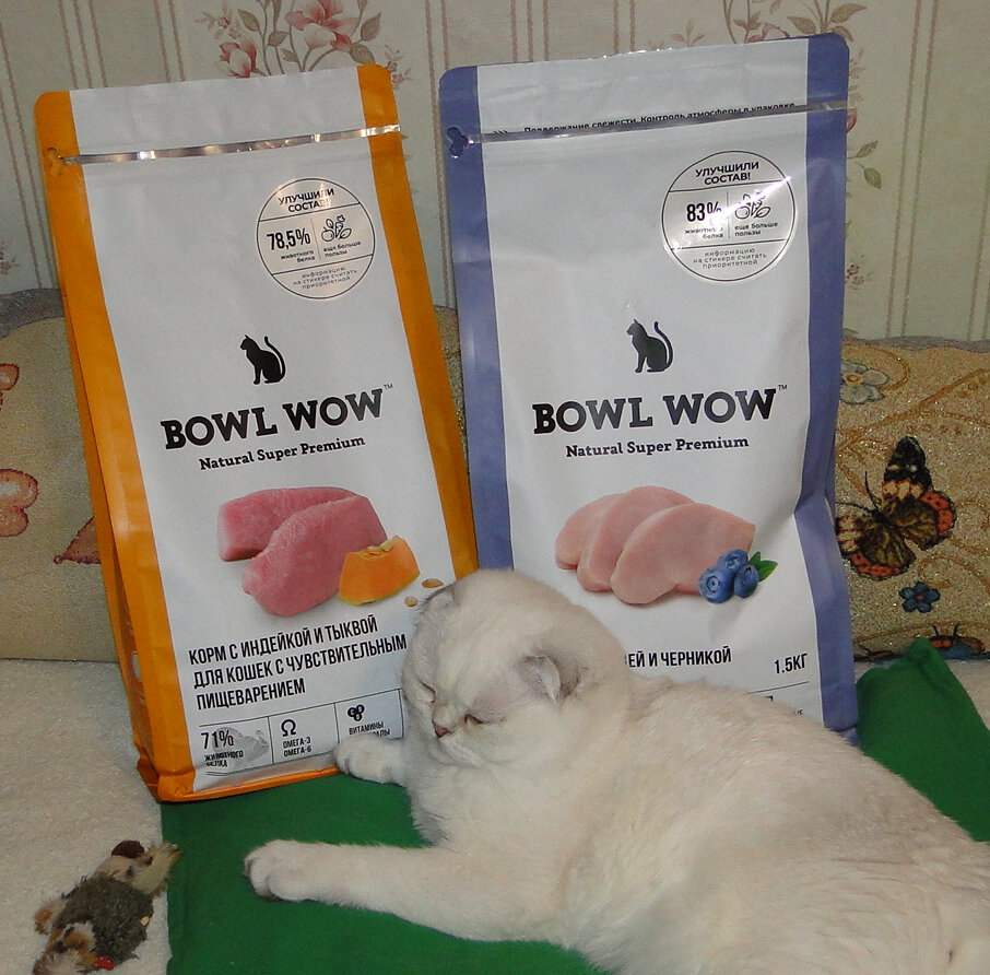 Корм BOWL WOW и кошечка Принцесса