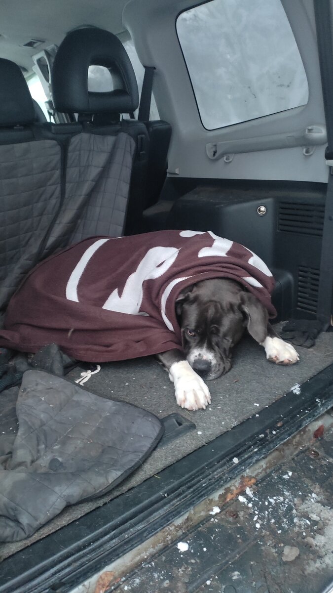 Почему-то не нашла фото Мэрьки в модной жилетке ...