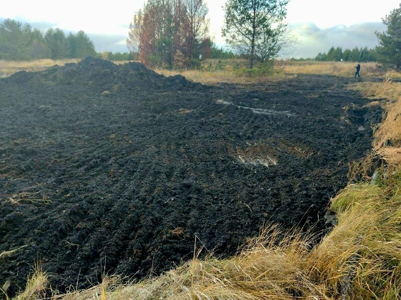    Фото: пресс-служба прокуратуры Пензенской области