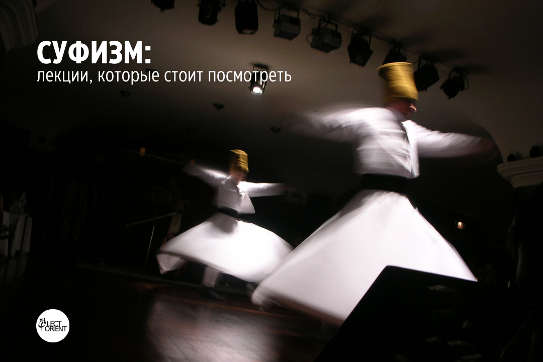 Фото взято из открытого фотостока Canva
