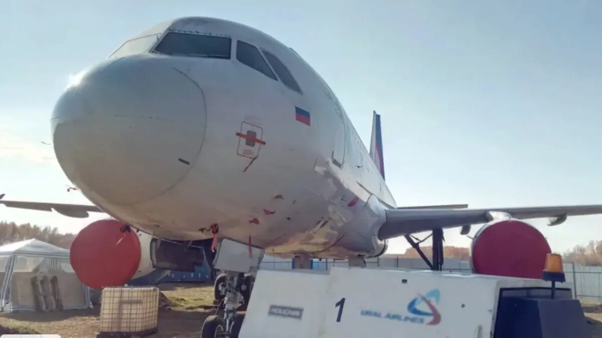 Airbus A320 «Уральских авиалиний» на пшеничном поле в Московке Убинского района Новосибирской области. Фото: Курьер.Среда