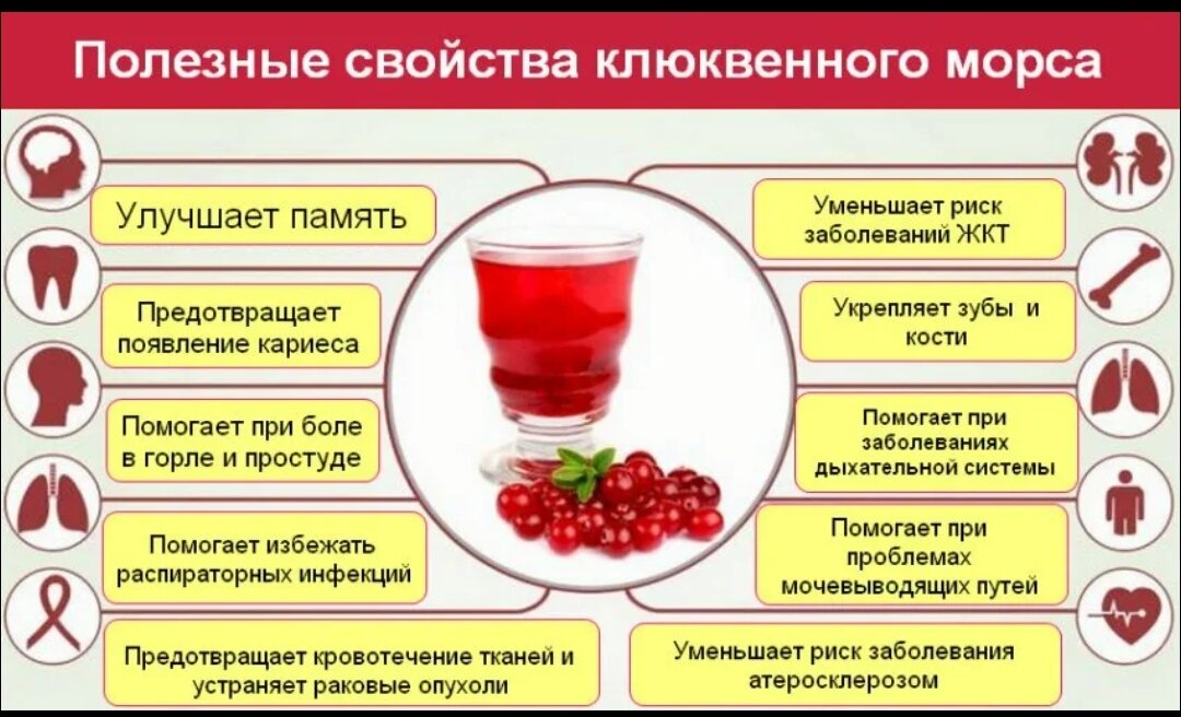 Можно ли запивать сироп. Чем полезна клюква. Клюква полезные свойства ягод. Клюква полезные свойства. Полезные свойства клюквы для организма.