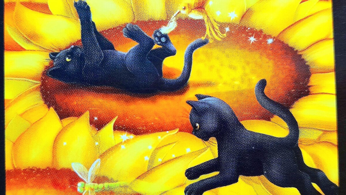 Вместе весело... делать все