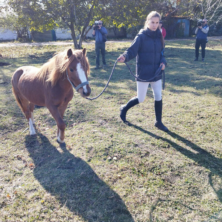    Пони будут использовать для обучения детей ДНР верховой езде