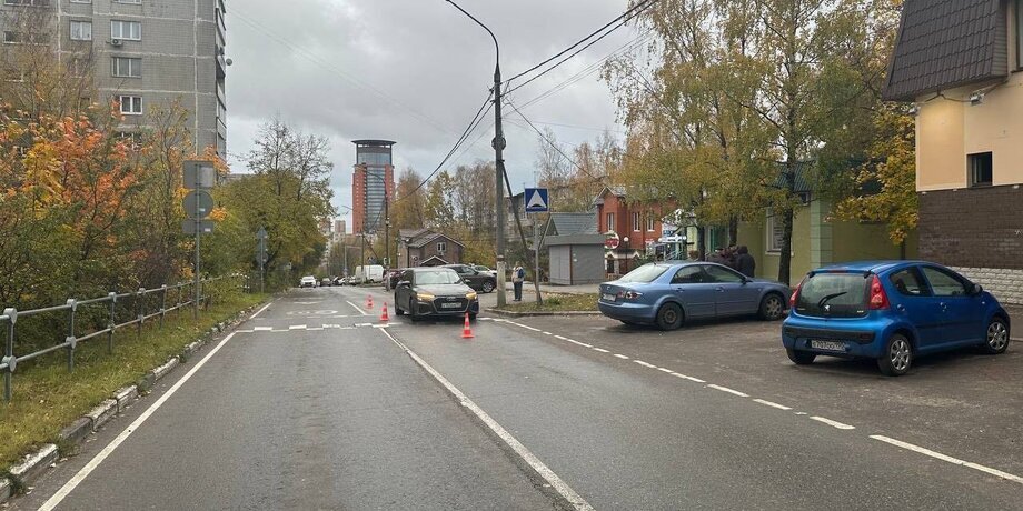 Фото: телеграм-канал "Прокуратура Московской области" 