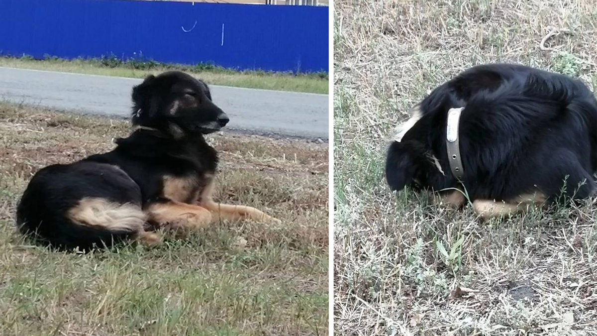 Фото: соцсети