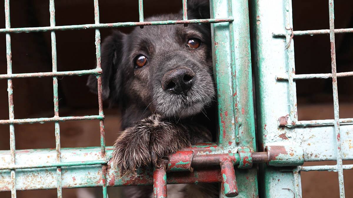    Фото: Кирилл Зыков / АГН Москва