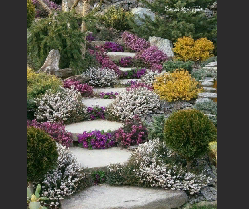 Взято из свободных источников.