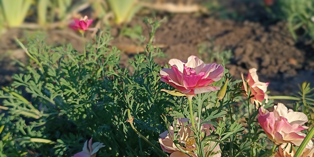 Новая работа нашла меня или я ее?