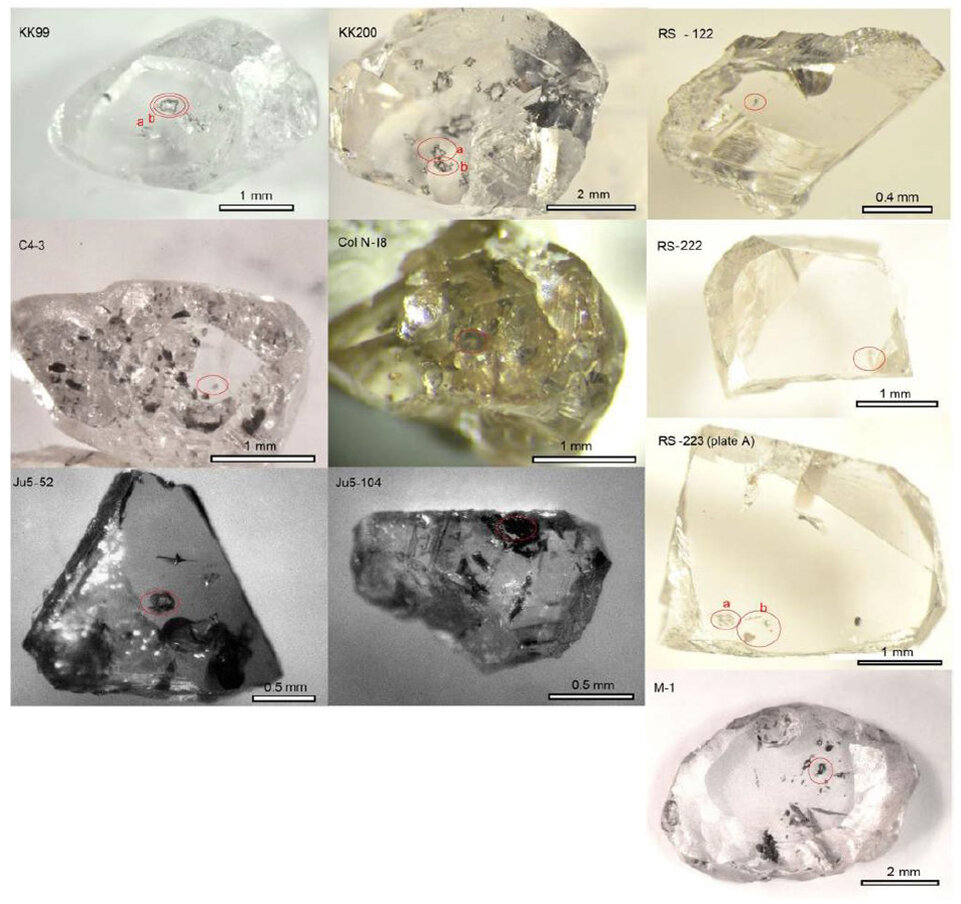   Suzette Timmerman et al. / Nature, 2023