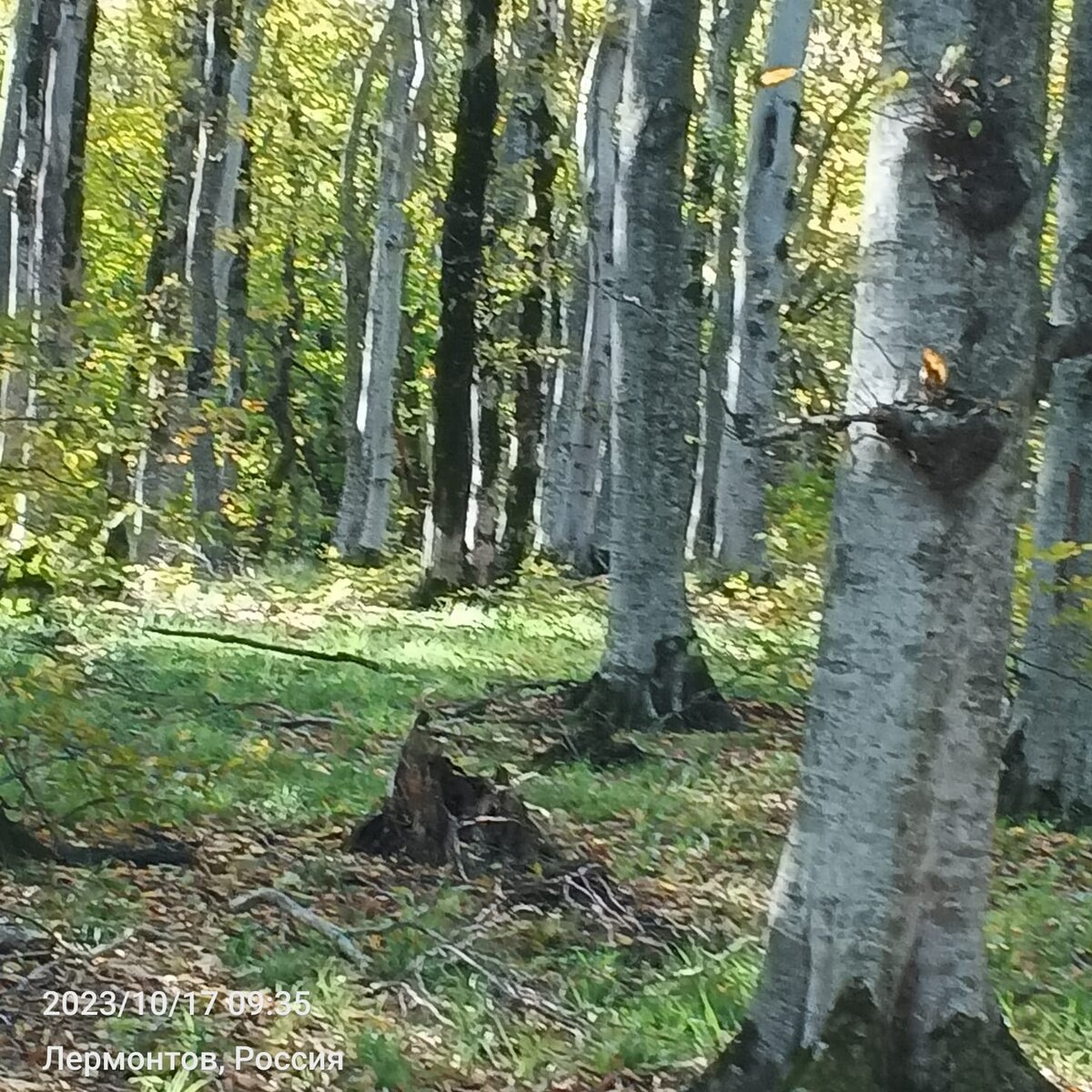 Фото Ларисы Малковой