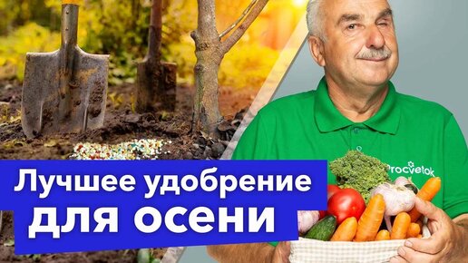 Какие удобрения нужно обязательно внести в почву осенью?