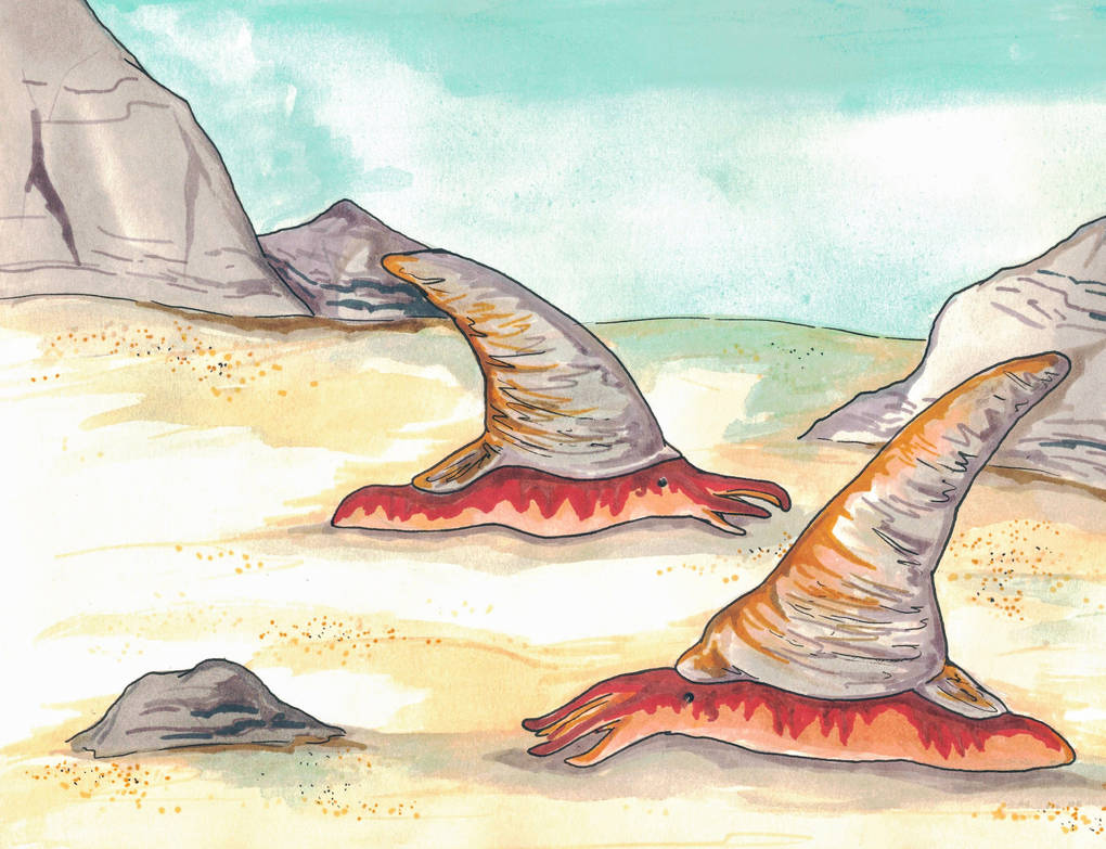 Примитивные головоногие - плектроноцерасы (Plectronoceras Ulrich & Foerste, 1933) от SirHagfish