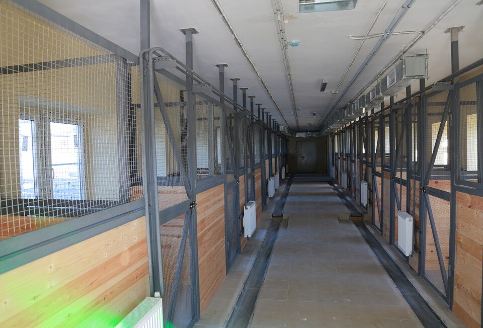    Собак будут содержать в достаточно просторных вольерах. с сайта мэрии Воронежа.