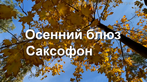 Осенний блюз. Саксофон. Мелодии осени. Музыка для души