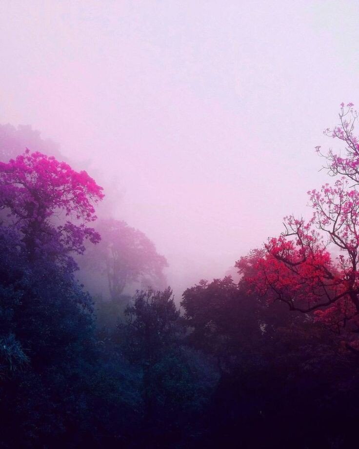 Картинка взята из открытых источников